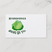 Hydroponik baut auf Ihnen Kopfsalat an Visitenkarte (Rückseite)