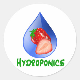 Hydroponik, Erdbeeren, grüner Text, blauer Tropfen Runder Aufkleber