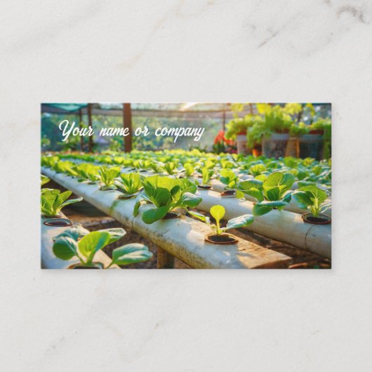 Hydroponische Gartenarbeit Visitenkarte (Vorderseite)