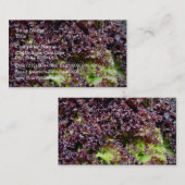 Hydroponische Salat-Blätter Visitenkarte (Vorne/Hinten)