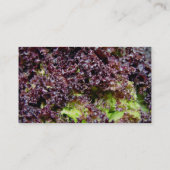 Hydroponische Salat-Blätter Visitenkarte (Rückseite)