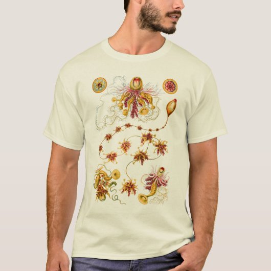 Hydrozoan - Siphonophores T-Shirt (Vorderseite)
