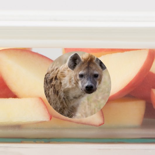 Hyena Etiketten (Befestigt)