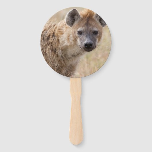 Hyena Fächer (Vorderseite)