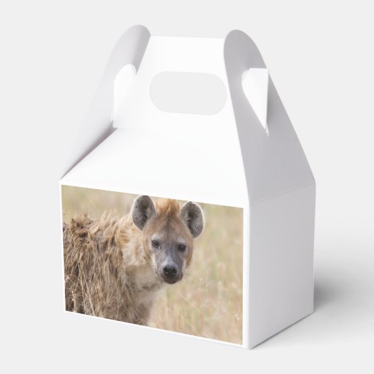 Hyena Geschenkschachtel (Rückseite)