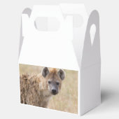 Hyena Geschenkschachtel (Geöffnet)