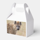Hyena Geschenkschachtel (Vorderseite)