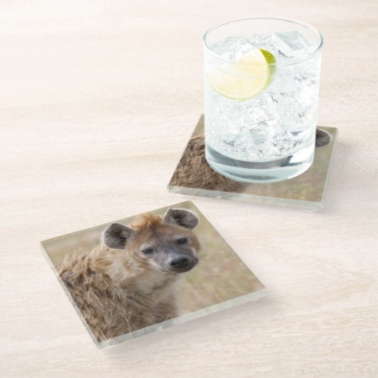 Hyena Glasuntersetzer (Schrägansicht)