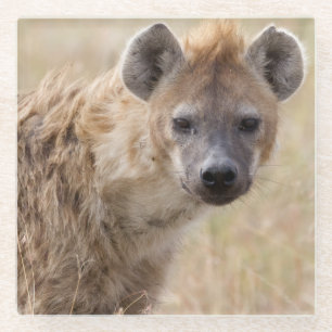 Hyena Glasuntersetzer