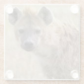 Hyena Glasuntersetzer (Rückseite)