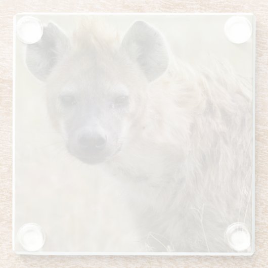 Hyena Glasuntersetzer (Rückseite)