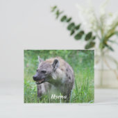 Hyena in Grass Postkarte (Stehend Vorderseite)