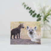 Hyena mit einer jungen postkarte (Stehend Vorderseite)