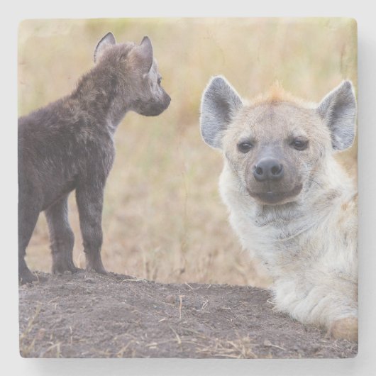 Hyena mit einer jungen steinuntersetzer (Vorderseite)