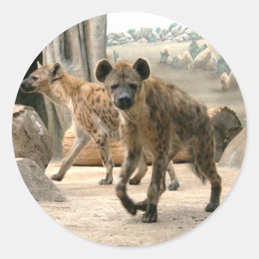 Hyena nimmt einen Look Sticker (Vorderseite)
