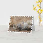 Hyena Picture Grußkarte Karte (Gelbe Blume)