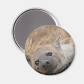 Hyena Picture Magnet (Vorderseite/Rückseite)