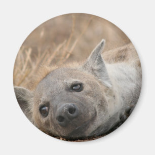 Hyena Picture Magnet