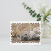 Hyena Picture Postcard Postkarte (Stehend Vorderseite)