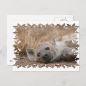Hyena Picture Postcard Postkarte (Vorne/Hinten)