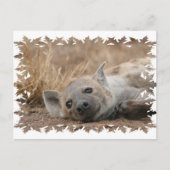 Hyena Picture Postcard Postkarte (Vorderseite)