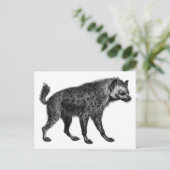 Hyena Postkarte (Stehend Vorderseite)
