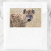 Hyena Rechteckiger Aufkleber (Tasche)