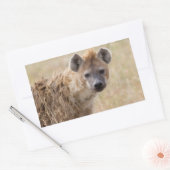 Hyena Rechteckiger Aufkleber (Umschlag)