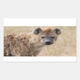 Hyena Rechteckiger Aufkleber