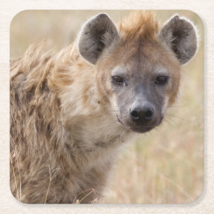 Hyena Rechteckiger Pappuntersetzer