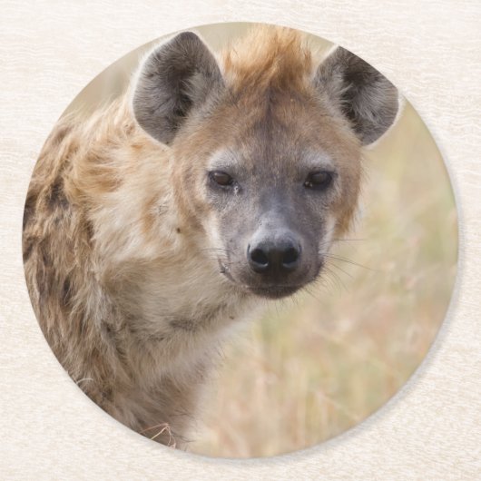 Hyena Runder Pappuntersetzer (Vorderseite)