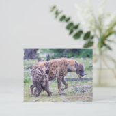 Hyena Wildlife of Africa Postkarte (Stehend Vorderseite)