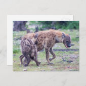 Hyena Wildlife of Africa Postkarte (Vorne/Hinten)