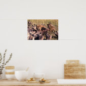 Hyenas Beute mit Geiern Poster (Küche)