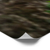 Hyenas Bliss erobert das Lächeln der Natur Poster (Ecke)