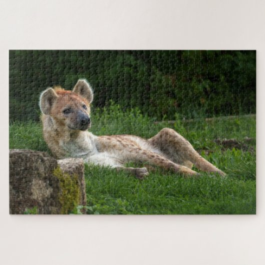 Hyenas Bliss erobert das Lächeln der Natur Puzzle (Horizontal)