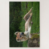 Hyenas Bliss erobert das Lächeln der Natur Puzzle (Vertikal)