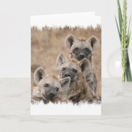 Hyenas Greeting Card Karte (Vorderseite)
