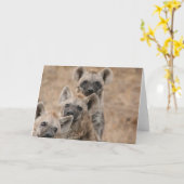 Hyenas Grueting Card Karte (Gelbe Blume)