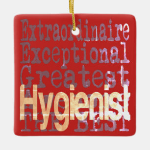 Hygieneminister Keramikornament