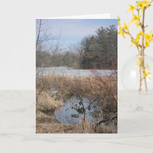 "Hyland Lake Ducks #1" Dankeschön Karte (Gelbe Blume)