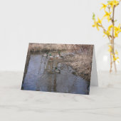 "Hyland Lake Ducks #2" Dankeschön Karte (Gelbe Blume)