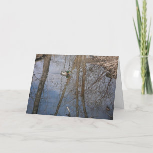 "Hyland Lake Mallard #1" Danke Karte