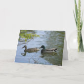 "Hyland May Day Mallards #2" Dankeschön Karte (Vorderseite)