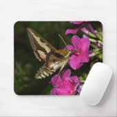 Hyles gallii mousepad (Mit Mouse)