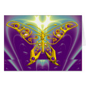 HYPER BUTTERFLY (Vorderseite (Horizontal))