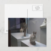Hyper Lynx läuft (a)Cross-Hare Postkarte (Vorne/Hinten)