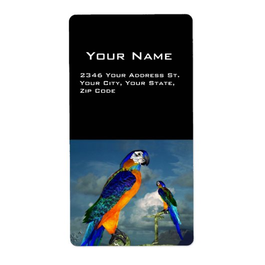 HYPER PARROS / BLAUE ARA (Vorne)