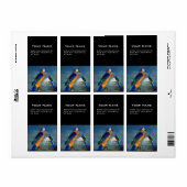 HYPER PARROS / BLAUE ARA (Vorne)