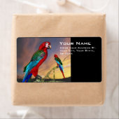 HYPER PARROS / BLAUE ARA (Insitu)